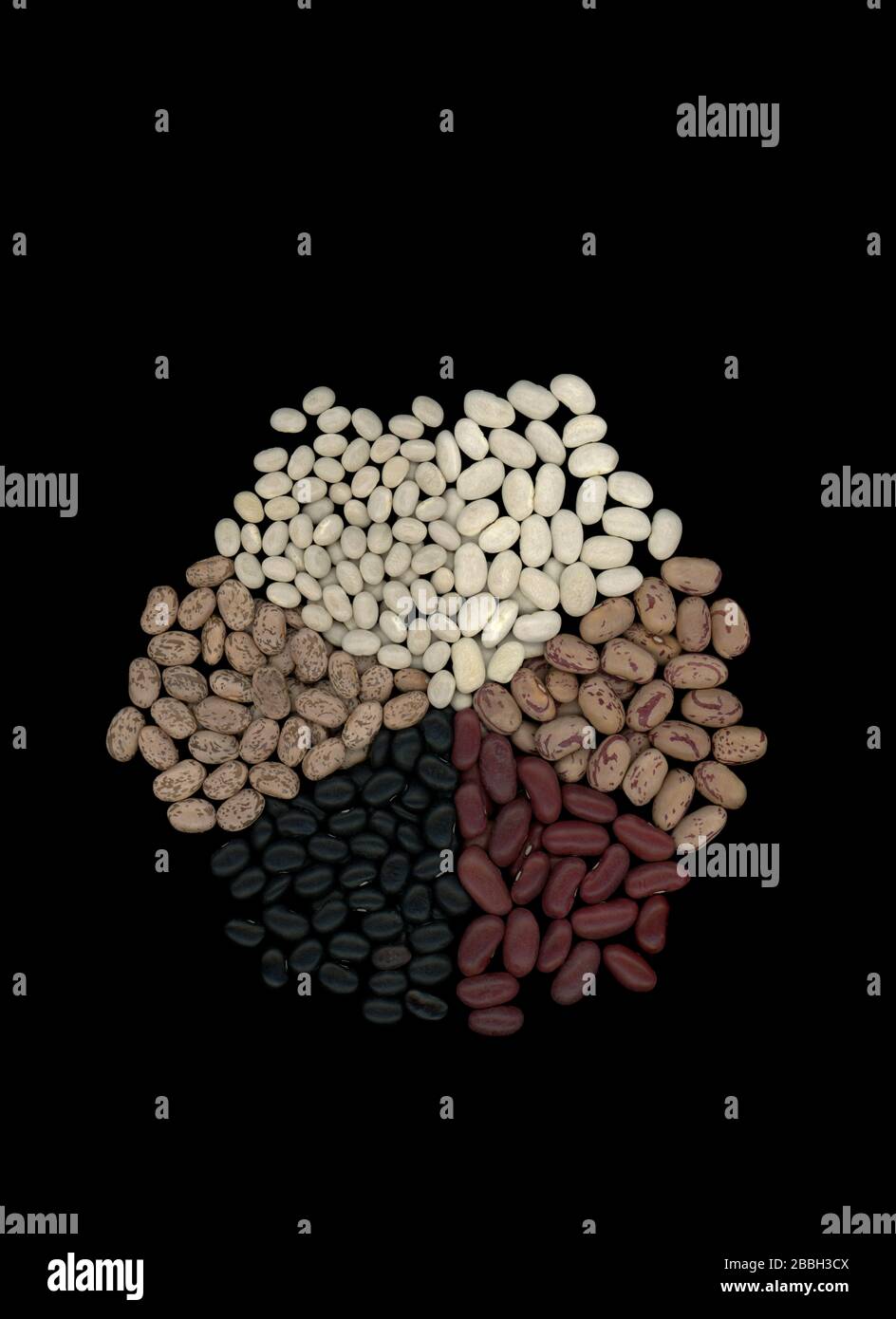 A group of dried beans or pulses grown in Canada. Six varieties of dried beans presented in a circle; black turtle beans, cranberry beans, dark red kidney beans, Great Northern beans, navy beans and pinto beans. Stock Photo