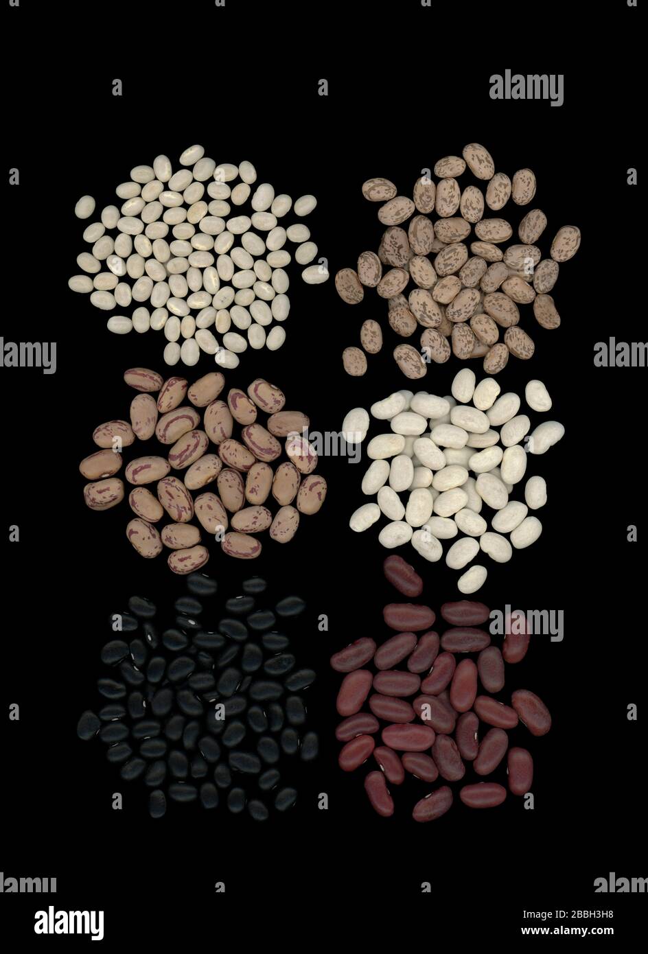 Presentation of dried beans or pulses grown in Canada. Six varieties of dried beans on a black background: black turtle beans, cranberry beans, dark red kidney beans, Great Northern beans, navy beans and pinto beans. Stock Photo