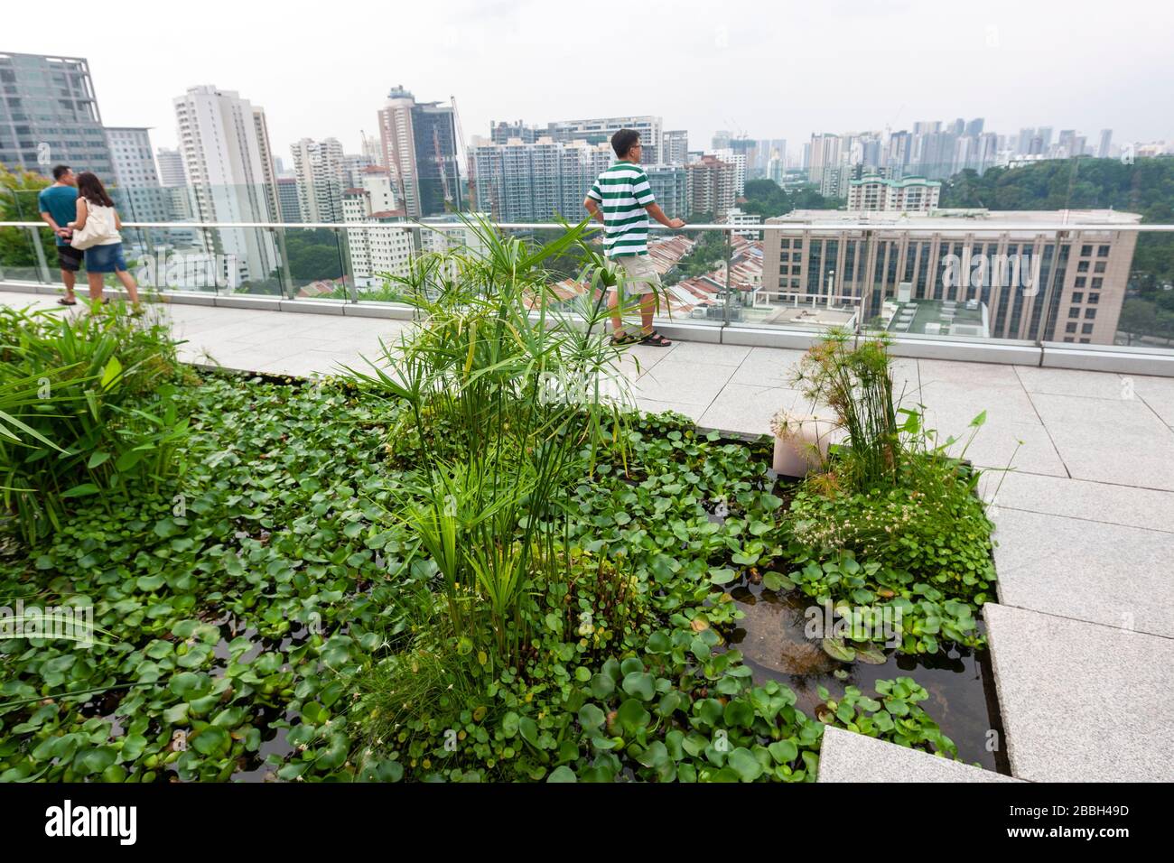 Rooftop Garden, Orchard Central,  shopping mall in Singapore Stock Photo