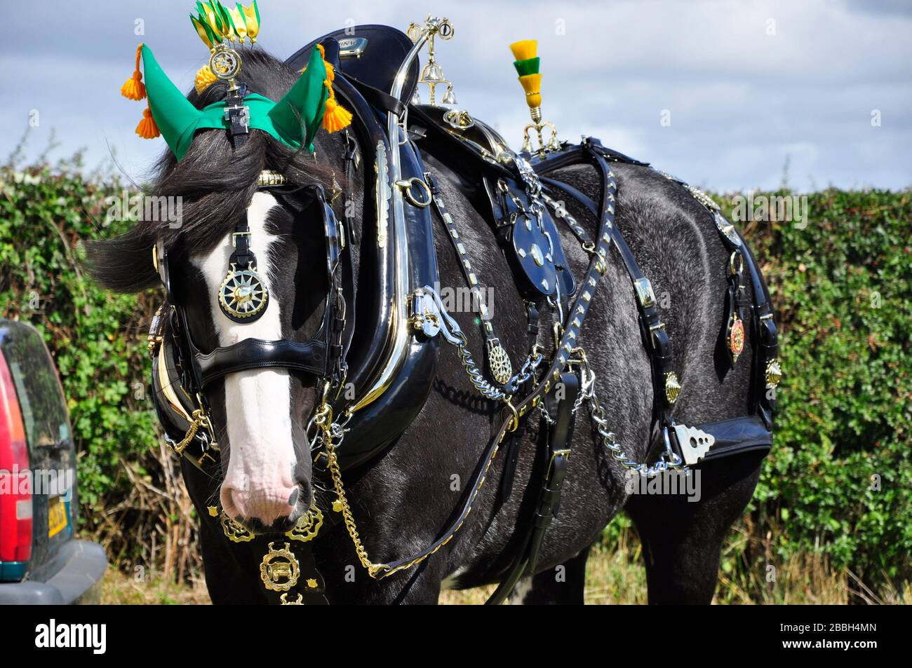 https://c8.alamy.com/comp/2BBH4MN/shire-horse-waits-in-its-full-brass-decorated-harness-for-a-competition-in-a-country-showoxfordshire-uk-2BBH4MN.jpg