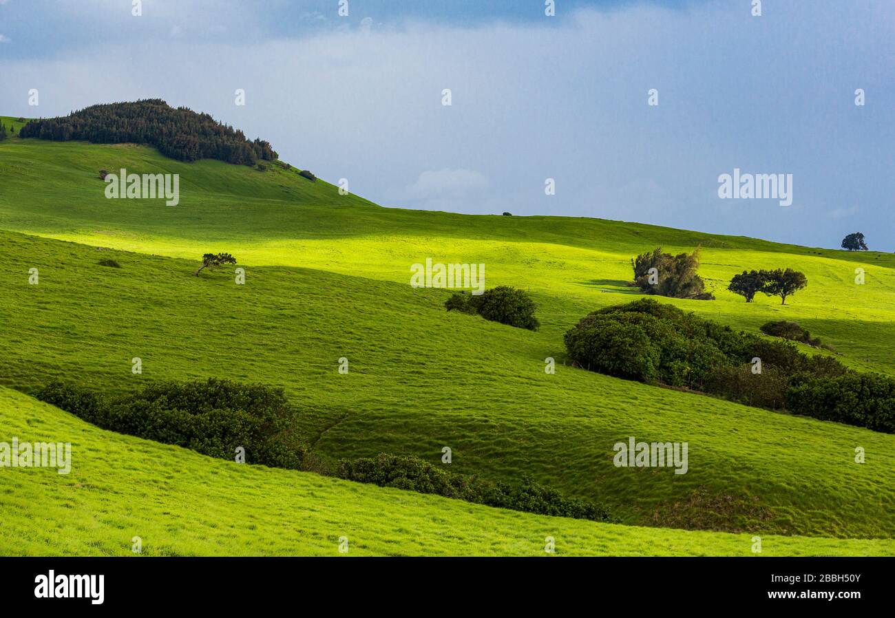 Agricultural land, Hawaii, Stock Photo