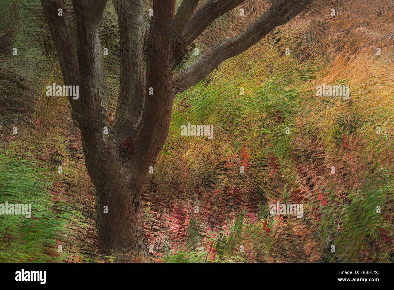 Impressionist tree Stock Photo