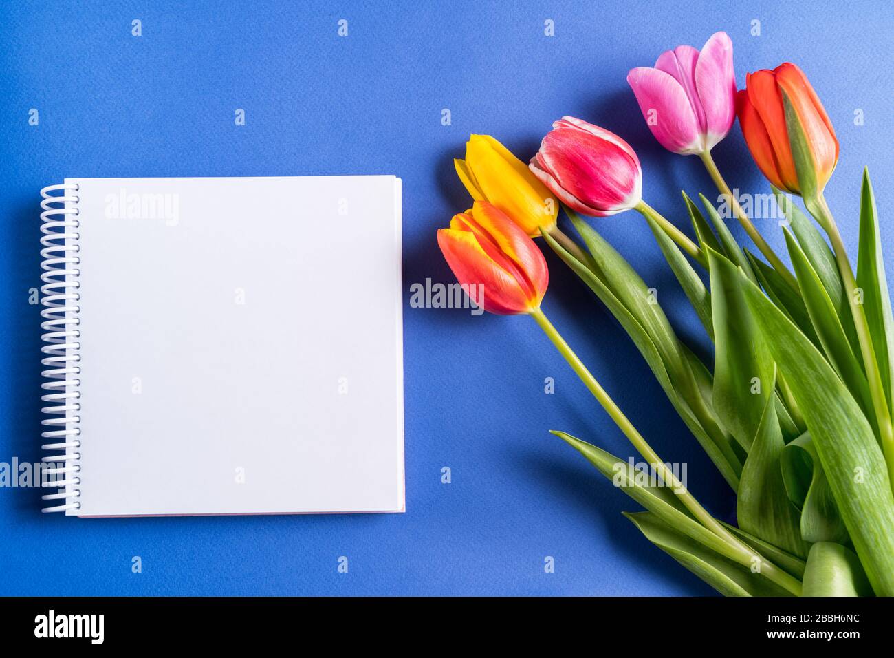 Flat lay Spring tulip flowers and notebook for text on blue background ...