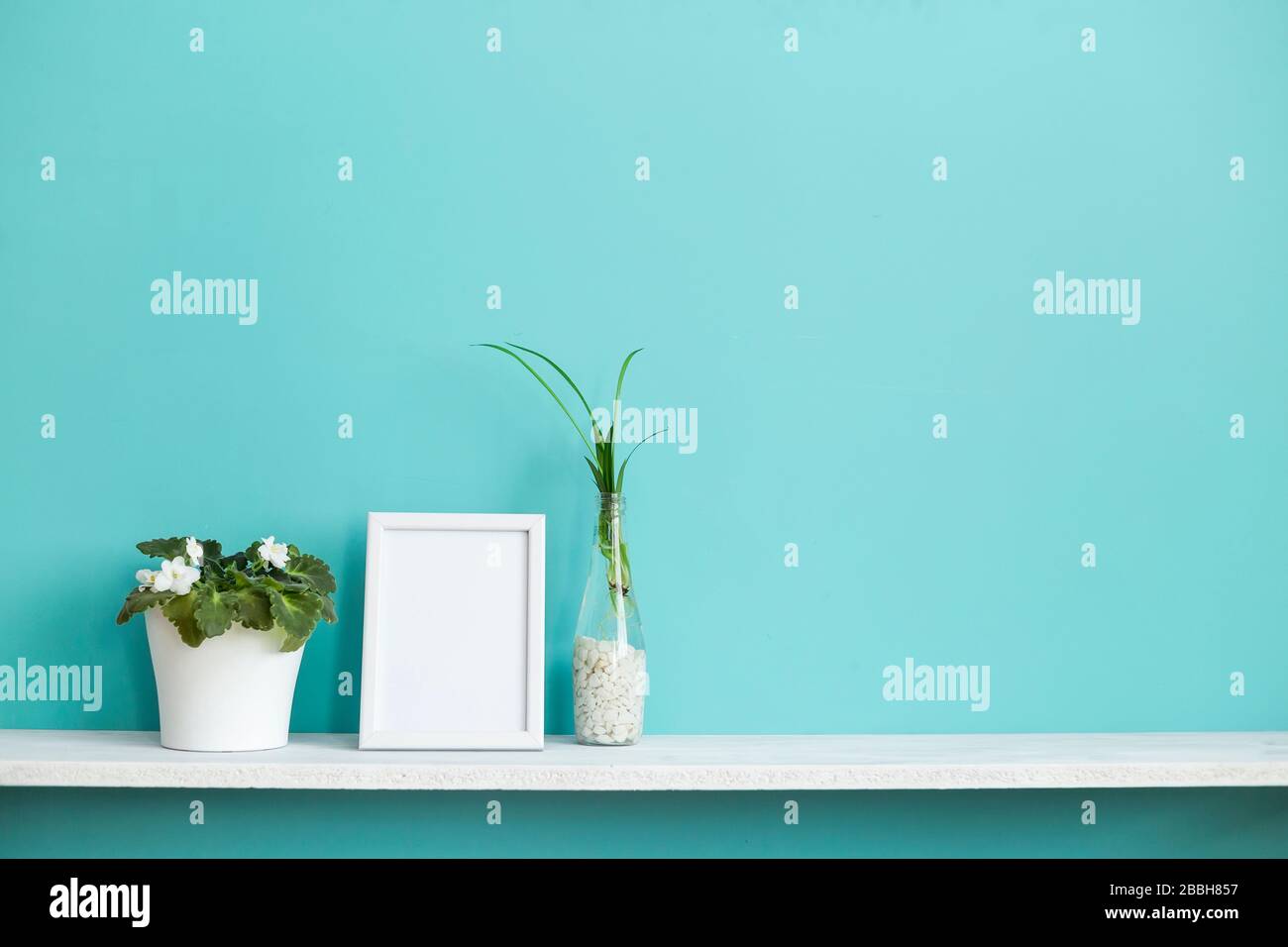 Download Modern Room Decoration With Picture Frame Mockup White Shelf Against Pastel Turquoise Wall With Spider Plant Cuttings In Water And Violet Stock Photo Alamy