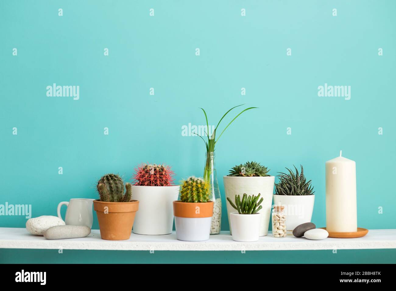 Download Modern Room Decoration With Picture Frame Mockup White Shelf Against Pastel Turquoise Wall With Collection Of Various Cactus And Succulent Plants In Stock Photo Alamy