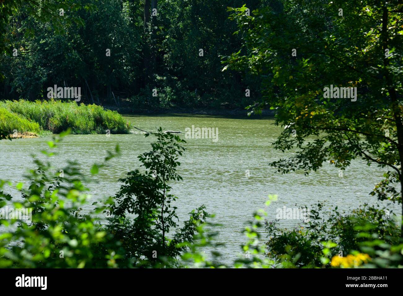 The Maumee River, Grand Rapids, Ohio Stock Photo Alamy