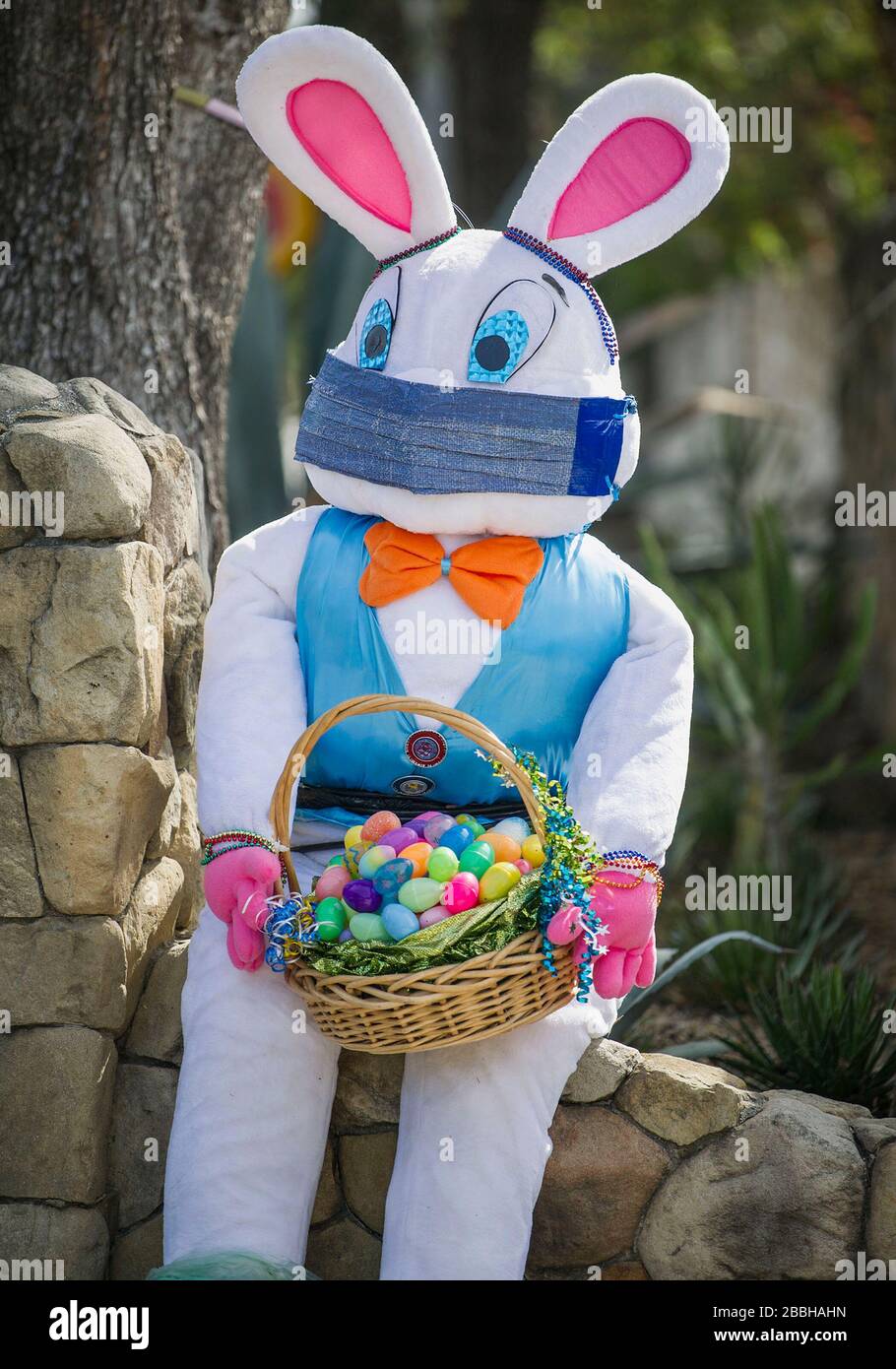 Santa Barbara California Usa 31st Mar 2020 An Easter Bunny Complete With A Face Mask Sits Outside A Home Credit Pj Heller Zuma Wire Alamy Live News Stock Photo Alamy