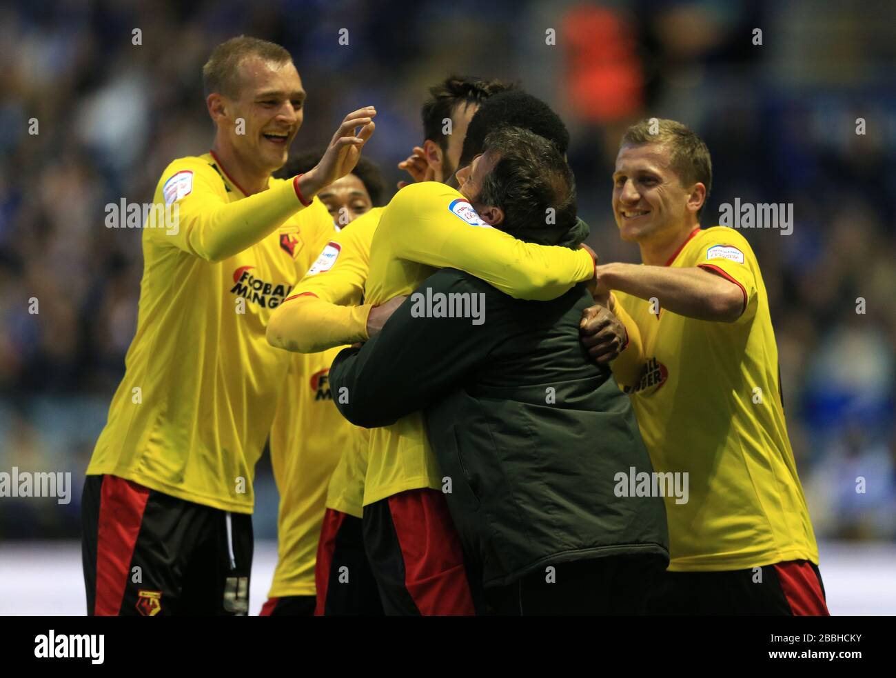 Soccer - npower Football League Championship - Watford Play Off Feature  2012/13 - Vicarage Road. Nathaniel Chalobah, Watford Stock Photo - Alamy