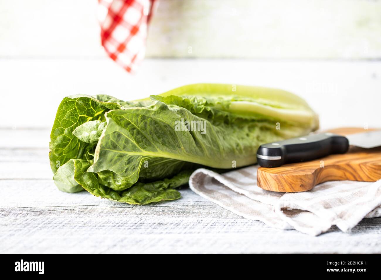 Fresh green Romaine Lettuce. Leaves of Lactuca sativa on white table