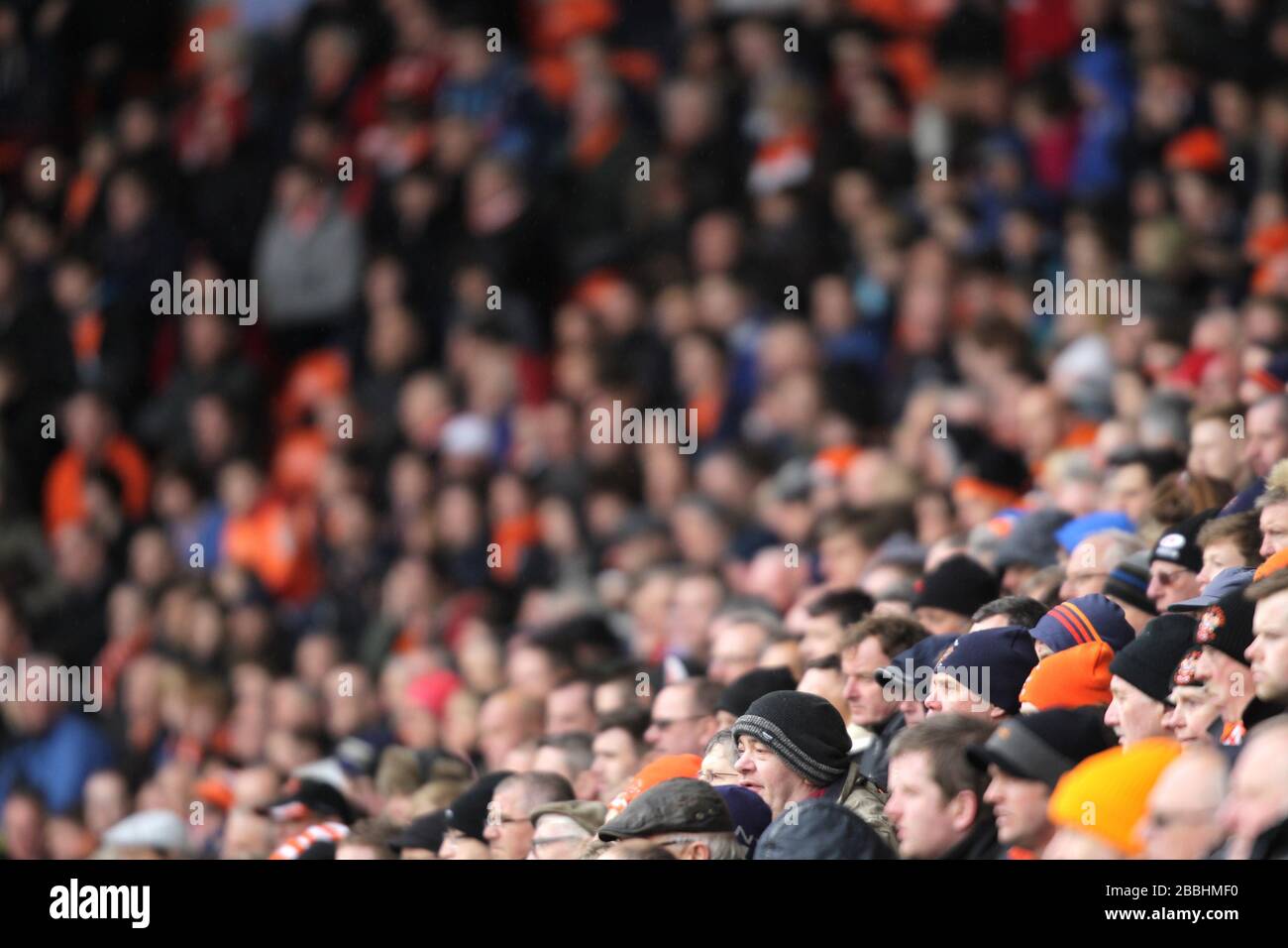 Football fans in the stands hires stock photography and images Alamy