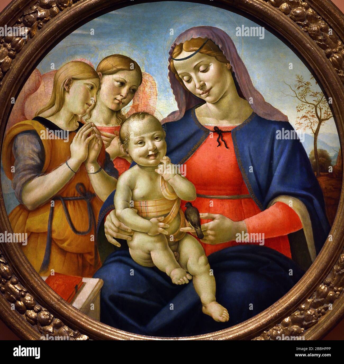 The Virgin and Child with Angels, 1500-1510 PIERO DI COSIMO FLORENCE 1461-1521  Italian, Italy, Stock Photo