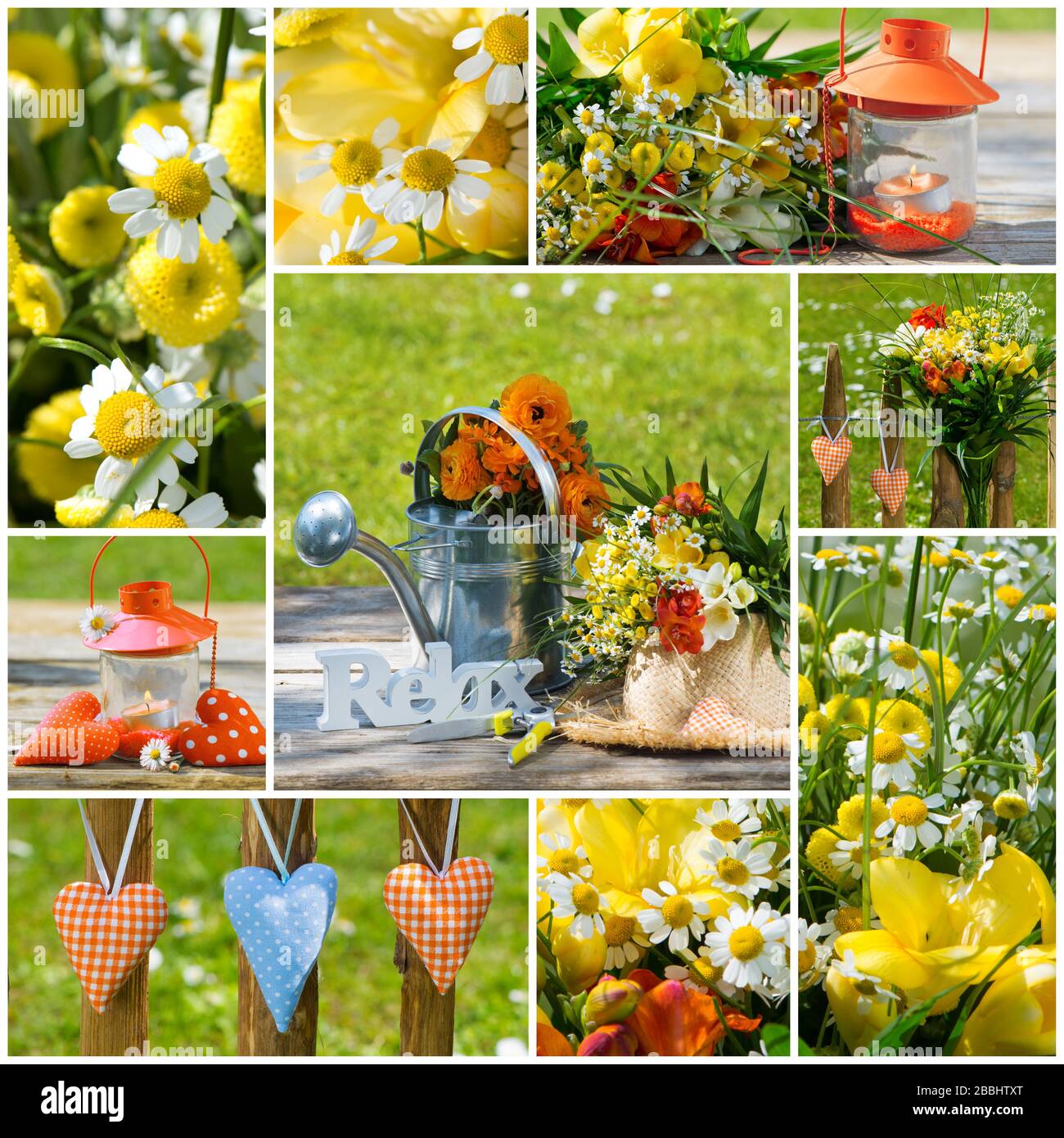 Collage of several photos of a summer garden Stock Photo - Alamy