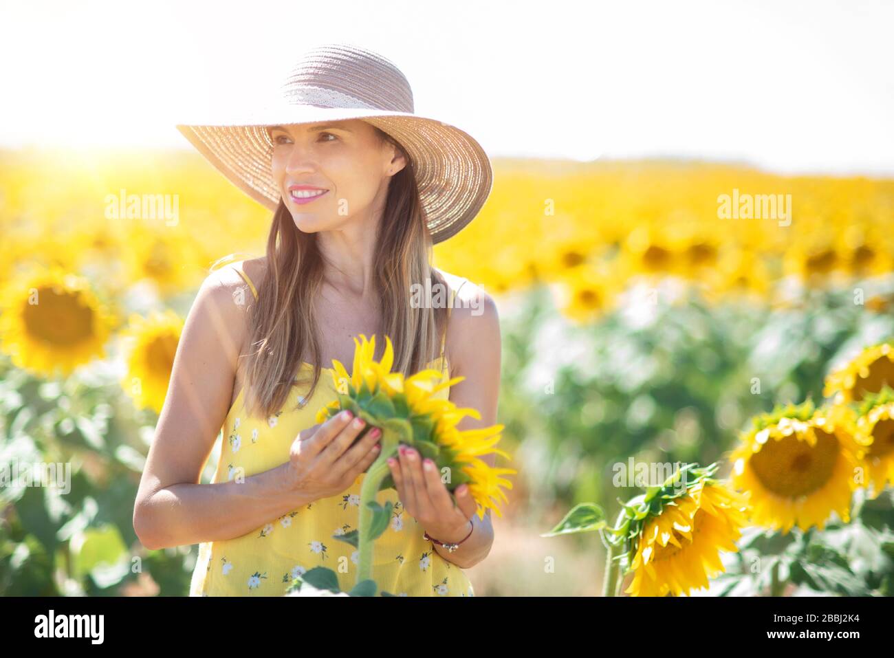 Beautiful Woman With Hat in a Sunflower Field in summertime Stock Photo ...