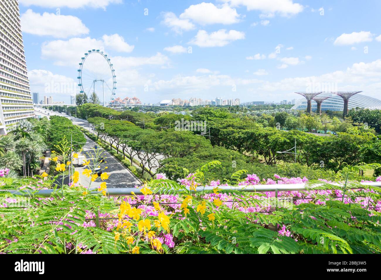 Singapore Flyer observation wheel and Sheares Avenue from Gardens by the Bay, Marina Bay, Civic District, Singapore Stock Photo