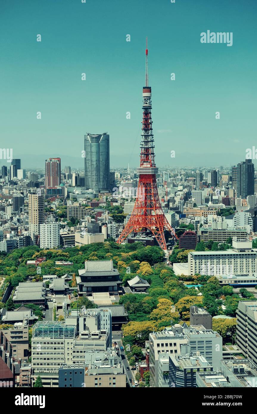 Tokyo Tower and urban skyline rooftop view, Japan. Stock Photo