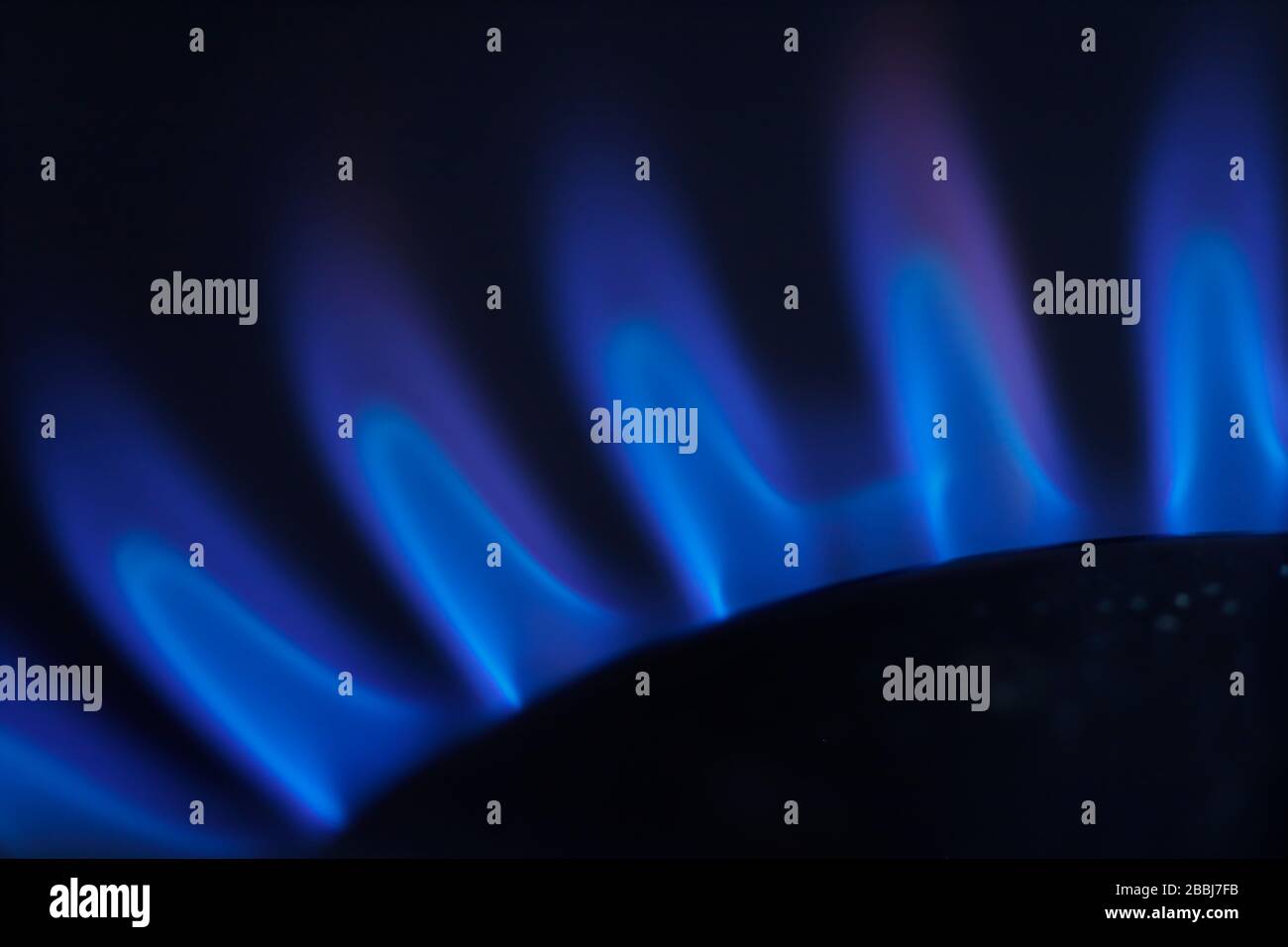 Blue flame from a gas cooker hob Stock Photo Alamy