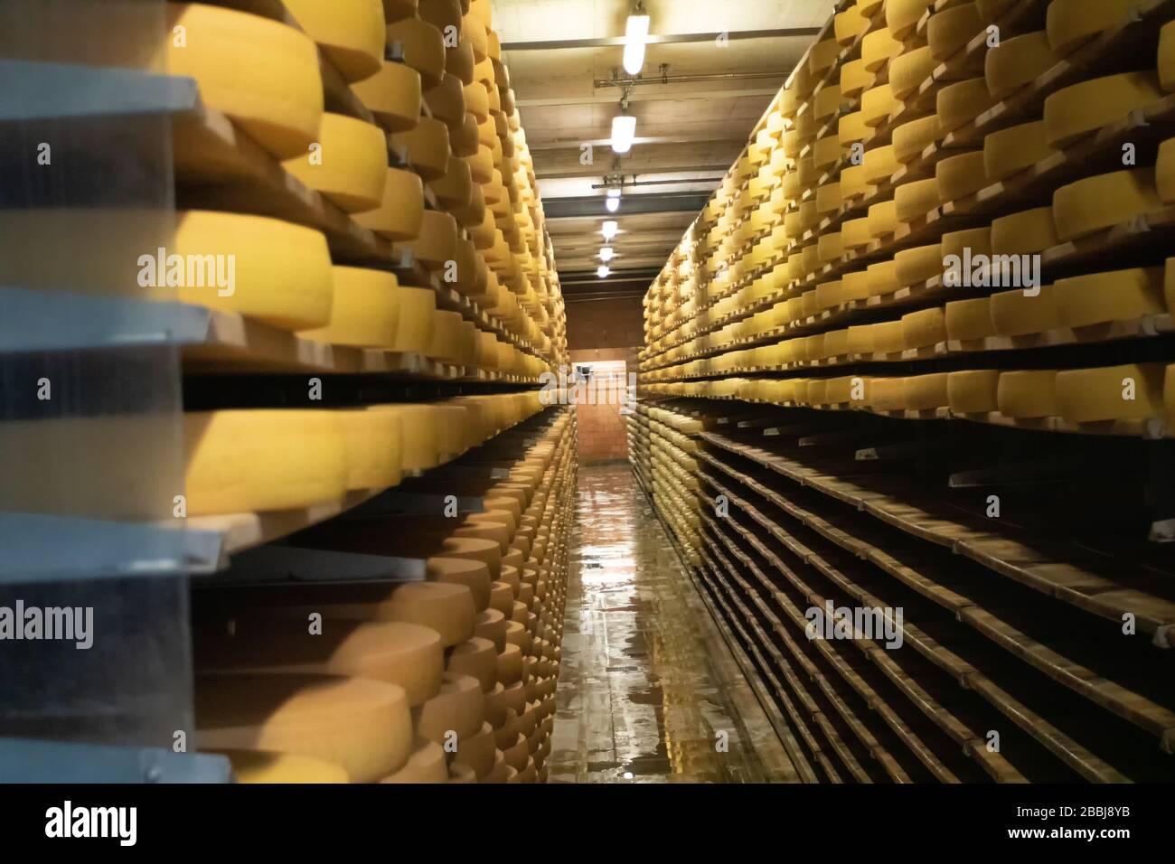 Le Gruyere cheese production Switzerland, 03/09/2019, The Beautiful