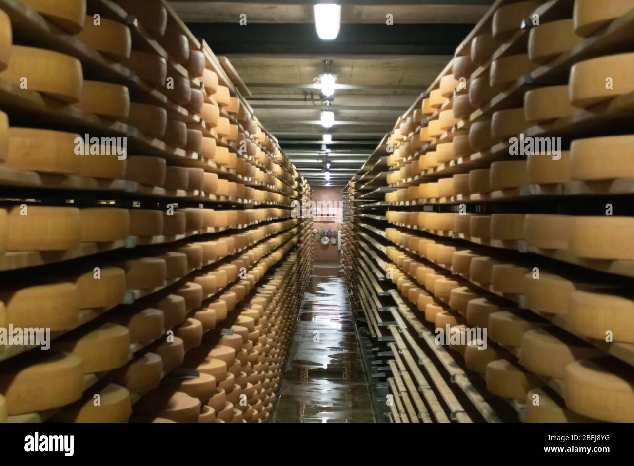 Le Gruyere cheese production Switzerland, 03/09/2019, The Beautiful