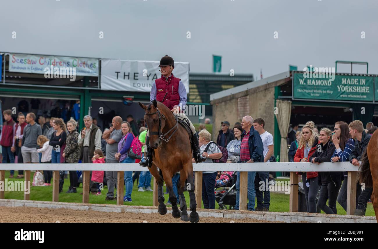 Show jumper hires stock photography and images Alamy