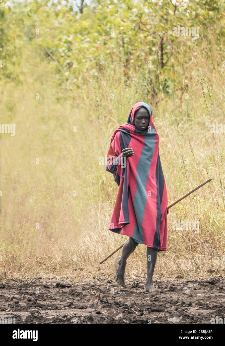 A Young Traditonal Mursi Tribe Man walkling with a Donga Stick used for Fighting near the Mursi Village in the Omo Valley in Southern Ethiopia wearing Stock Photo
