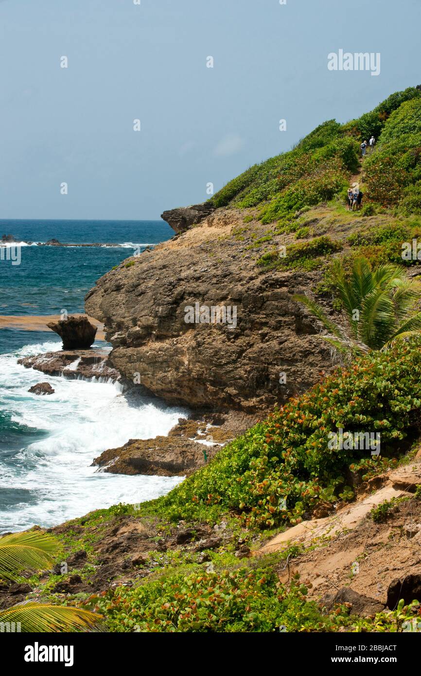 Coastal section of the Grand Sentier Hike around Caravelle Peninsula, Caravelle, Martinique, Lesser Antilles, French West Indies, Caribbean Stock Photo
