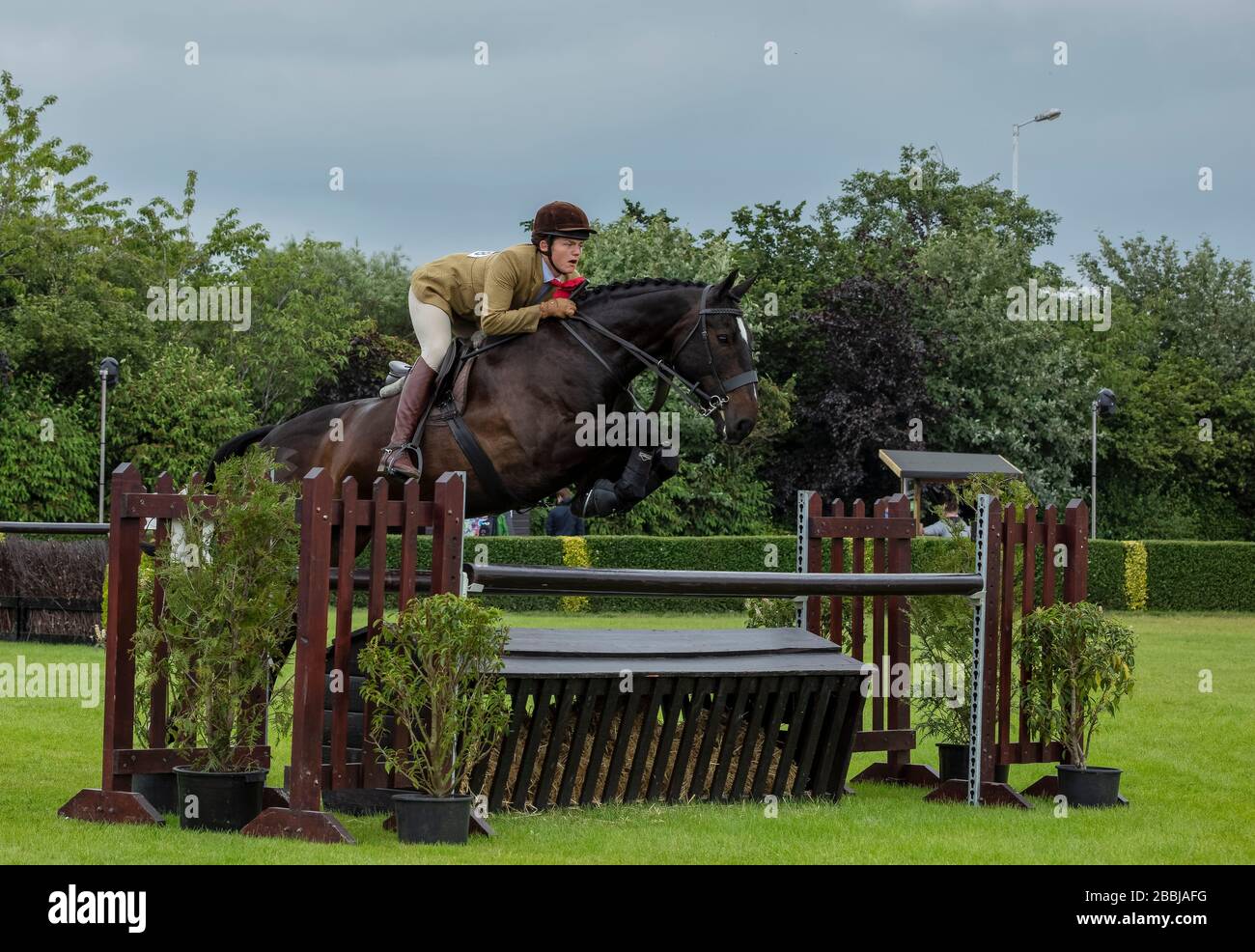 Showjumper on s horse jumping a fence at the Great Yorkshire Show in ...