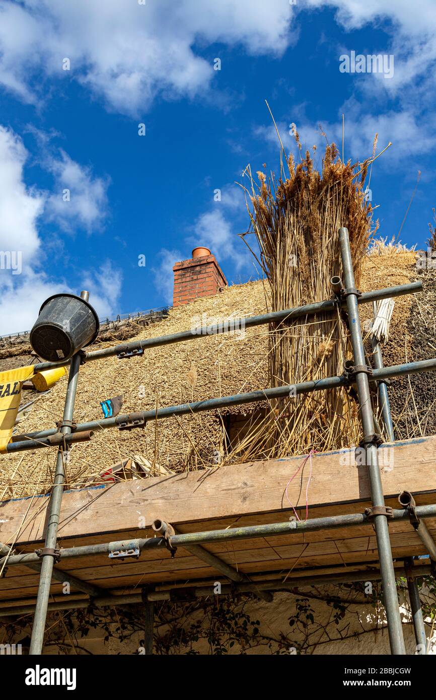 construction industry,Construction Industry, Construction Site, Building - Activity, Construction Worker, Scaffolding, Built Structure, Construction Stock Photo