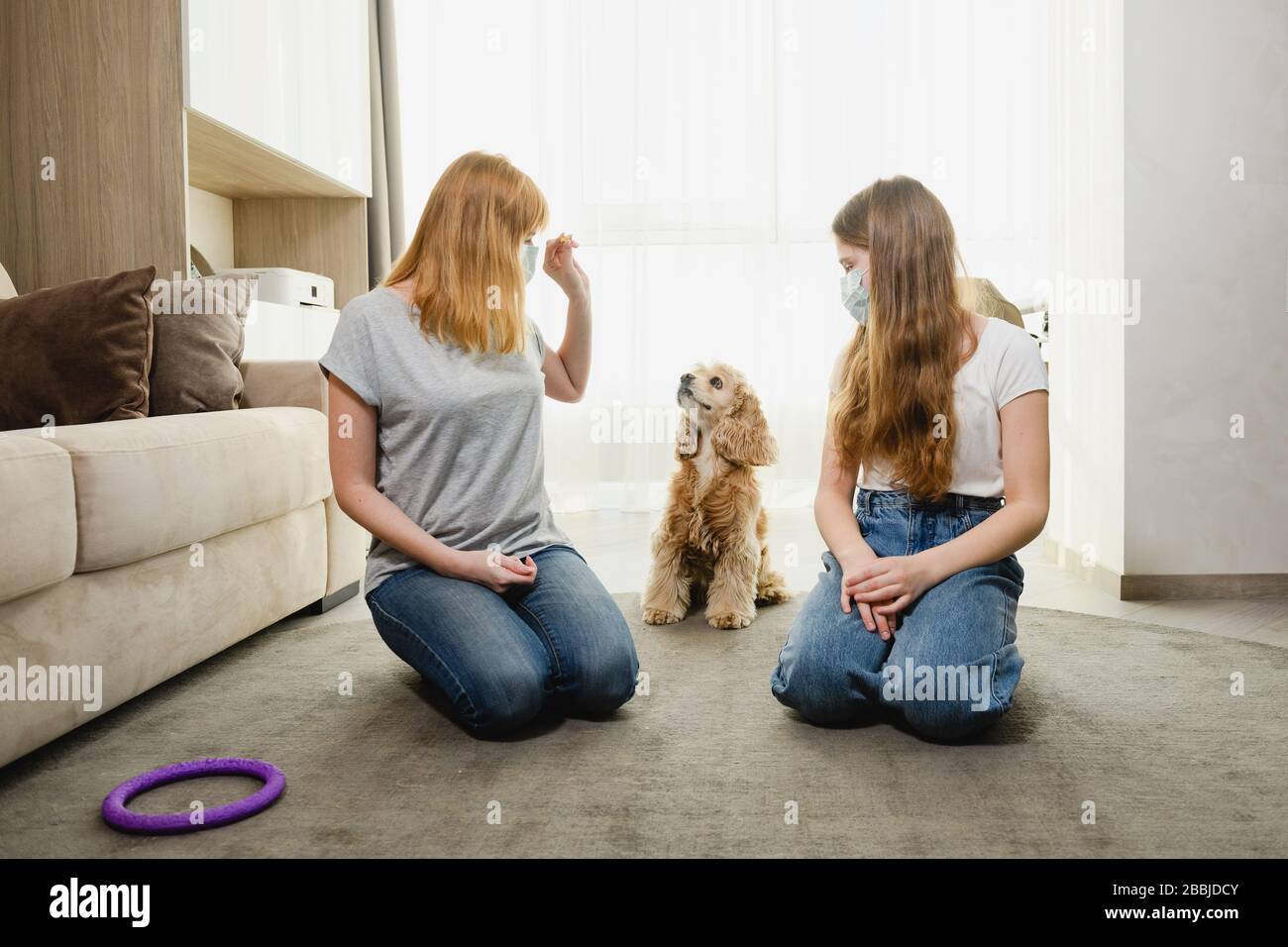 Family train dog during quarantine home time Stock Photo Alamy
