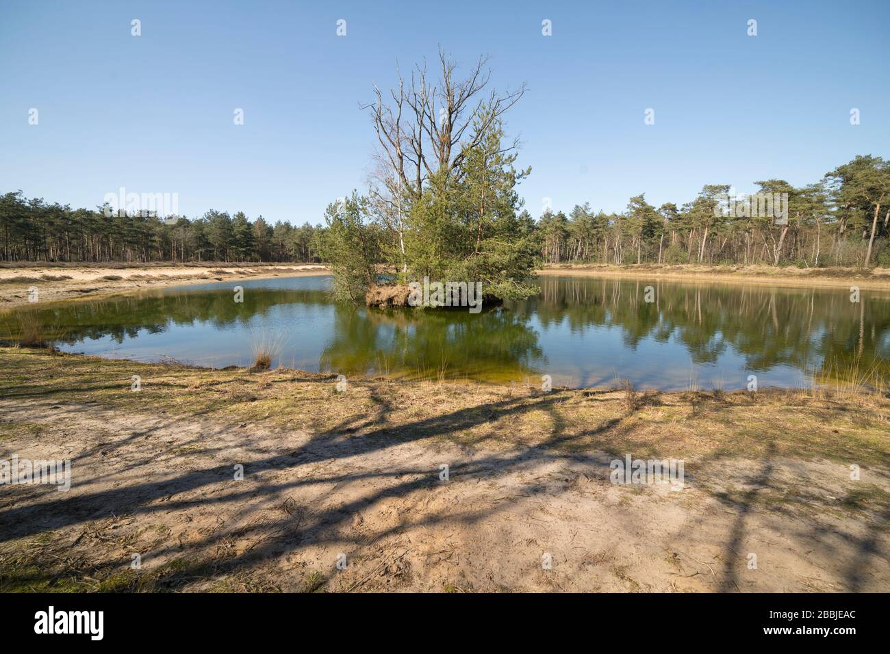 landscape with lake in the forest with a small island, Netherlands Stock Photo