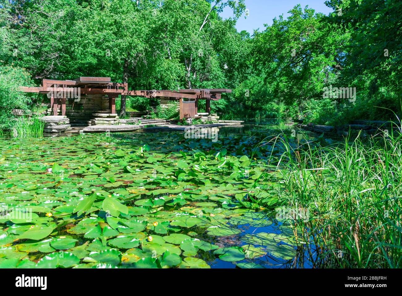 Alfred Caldwell Lily Pool in Lincoln Park Chicago surrounded by Grass and Trees Stock Photo