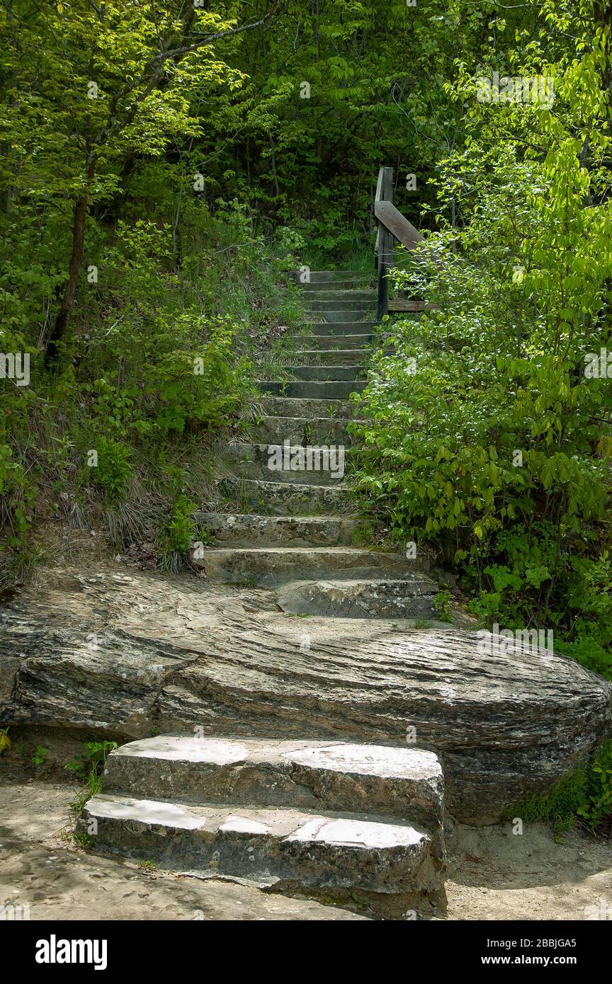 Rugged Rock Trail Steps in the Woods Stock Photo