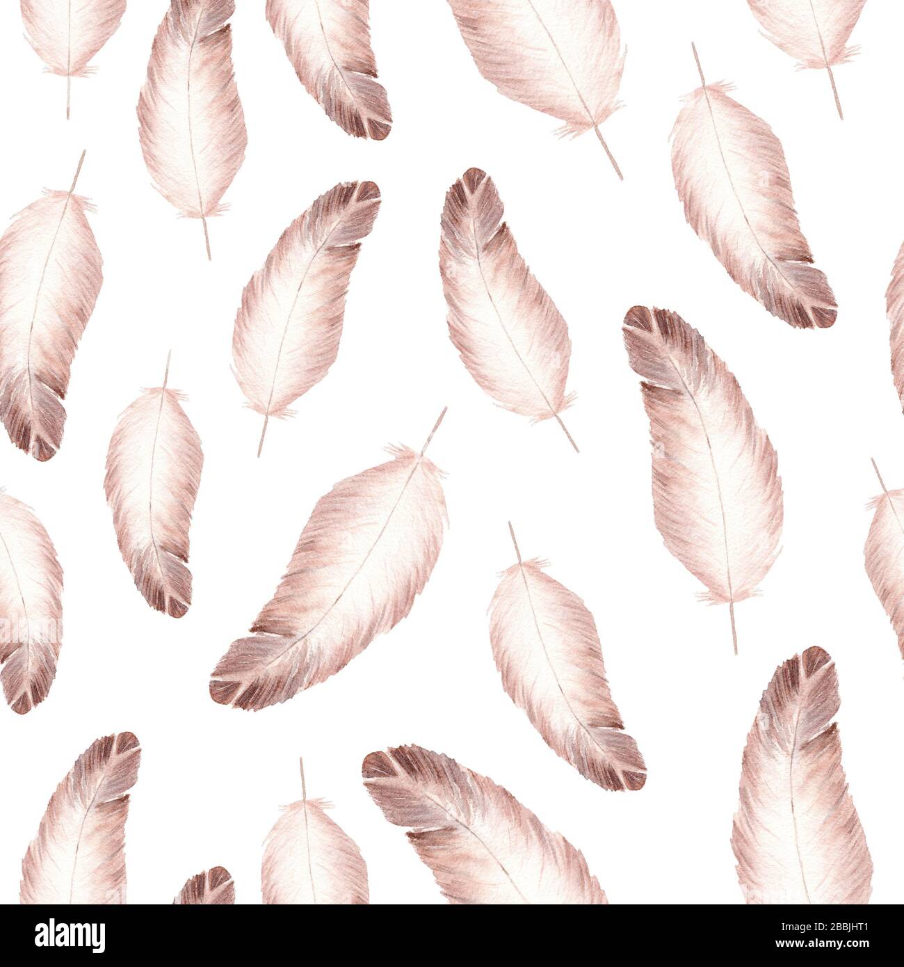 Hand made watercolor feathers seamless pattern on white background ...