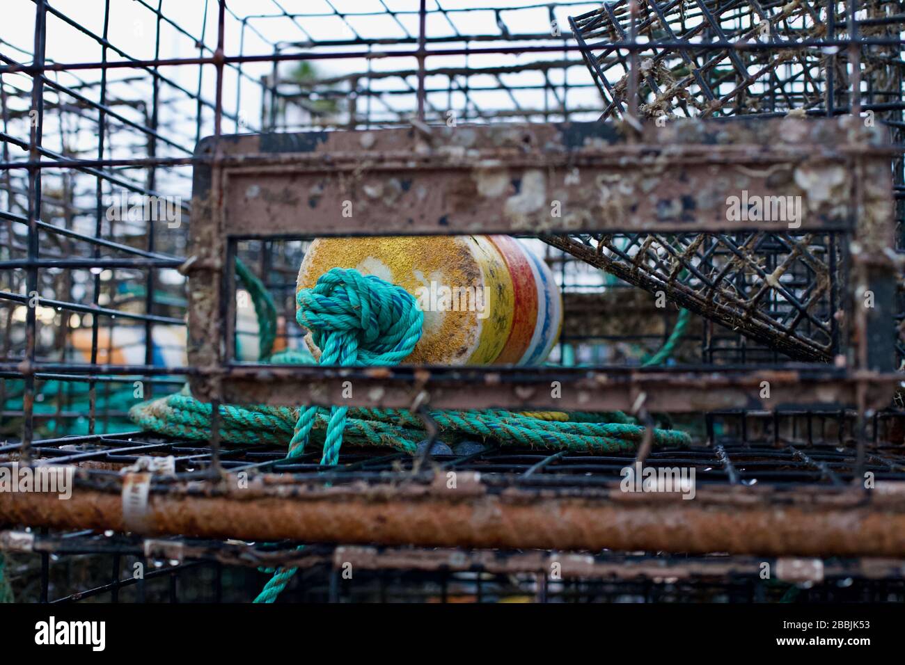 Buoy in crab cage trap Stock Photo Alamy