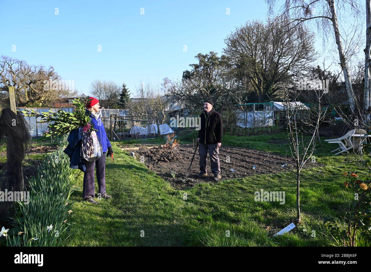 Observing social distancing as one allotment gardener greets another in passing at an allotment garden in London. Stock Photo