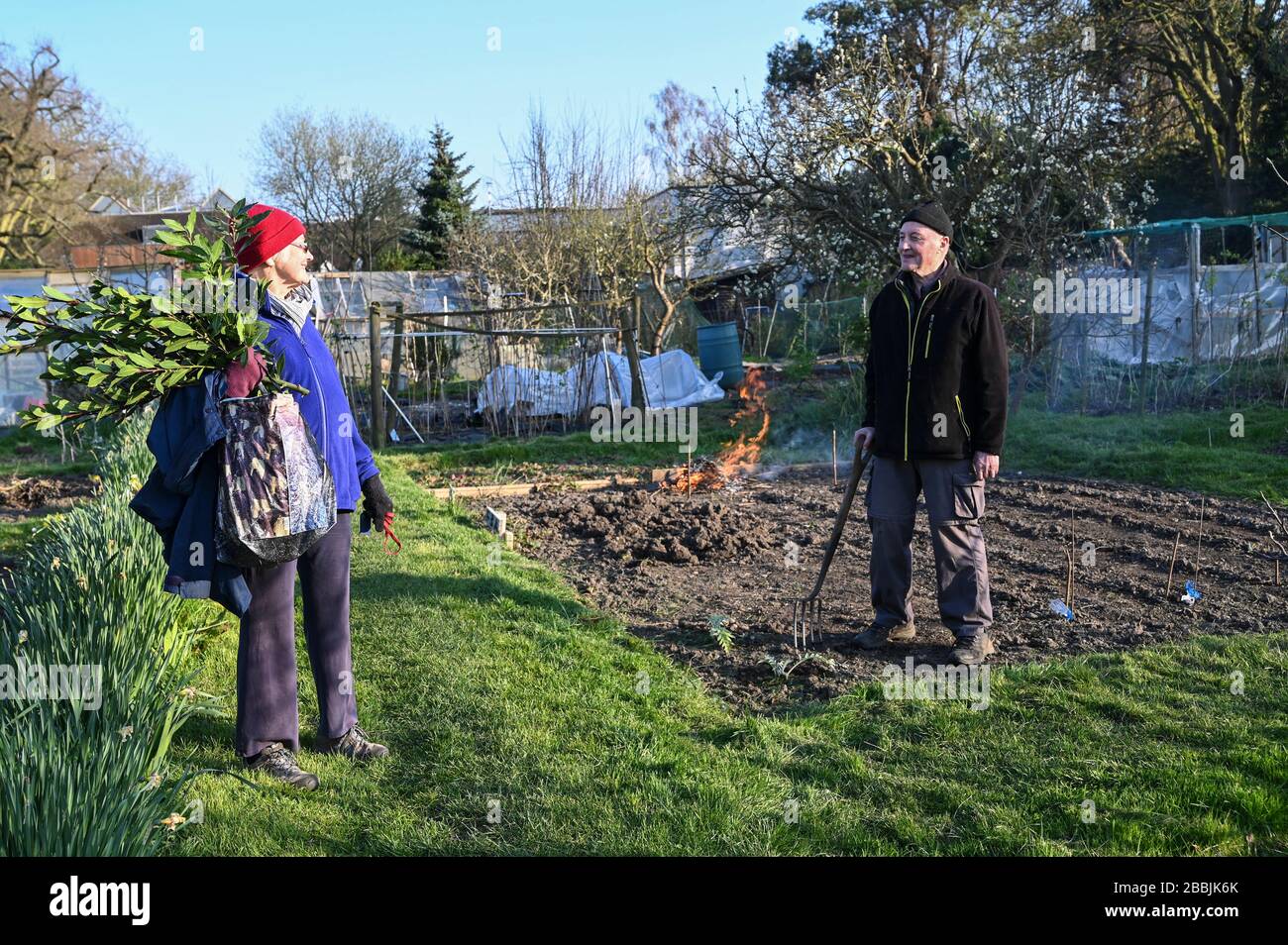Observing social distancing as one allotment gardener greets another in passing at an allotment garden in London. Stock Photo