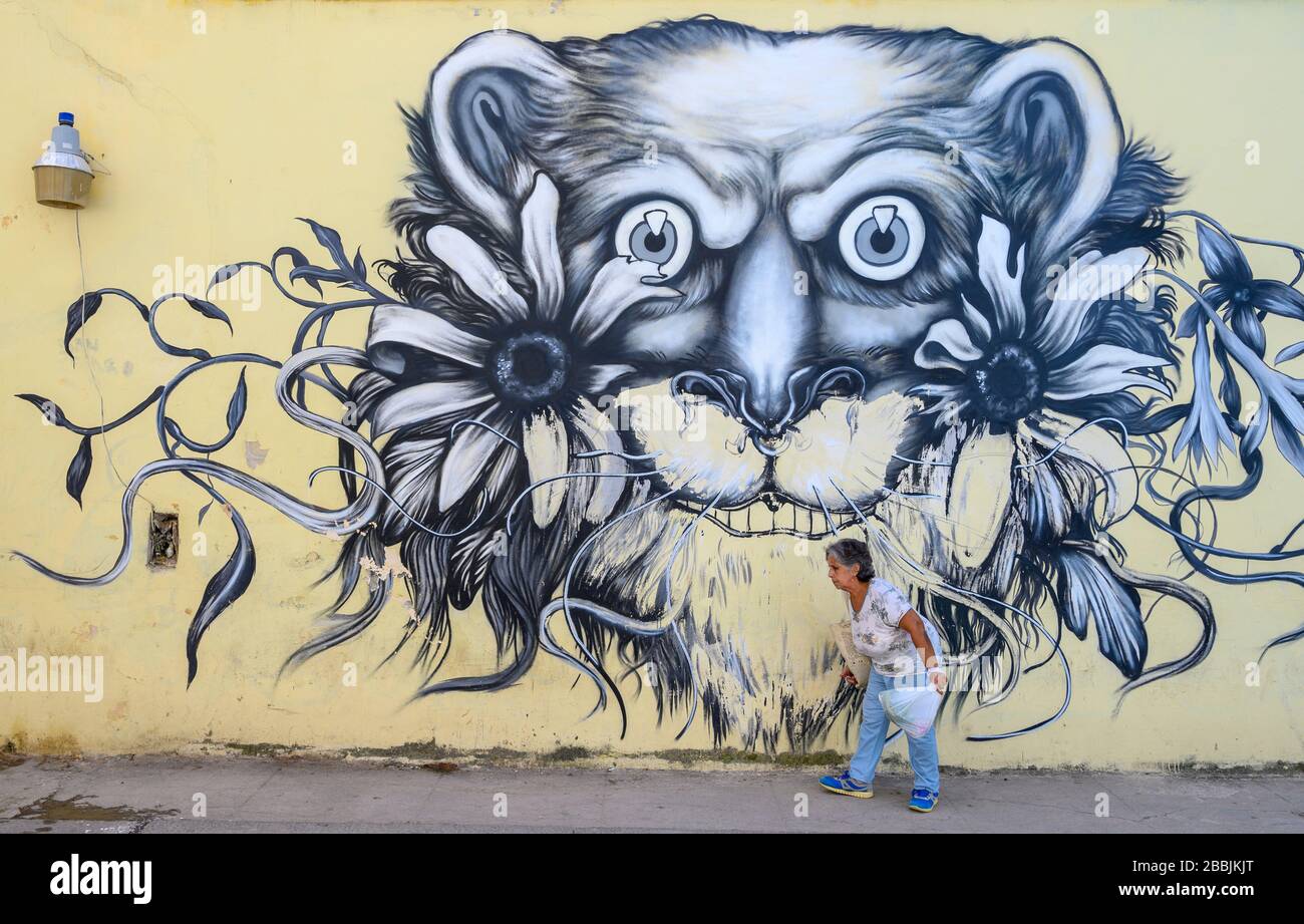 Street art murals in Havana Vieja, , Cuba Stock Photo