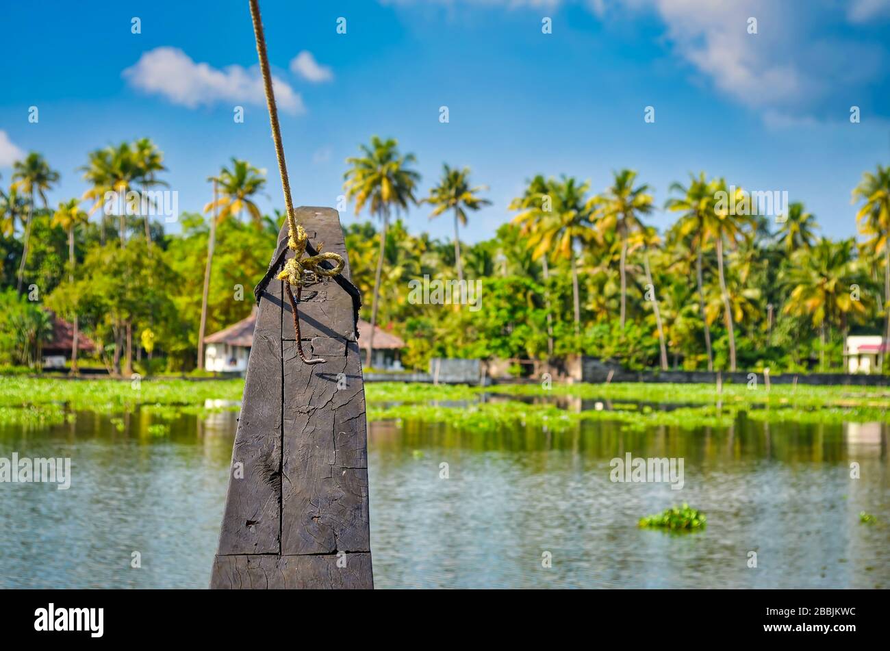 The bow of a houseboat moving to the shore in the backwaters. From Kerala India. Stock Photo