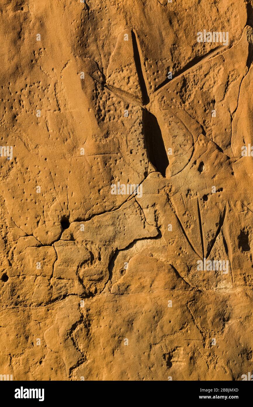 Petroglyphs perhaps of a turkey foot carved by ancestral Pueblo