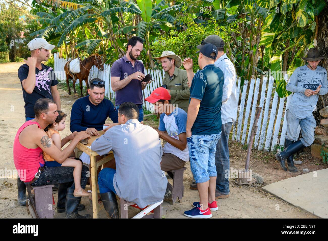 Cowboys playing dominoes after work , Vinales, Pinar del Rio Province, Cuba Stock Photo