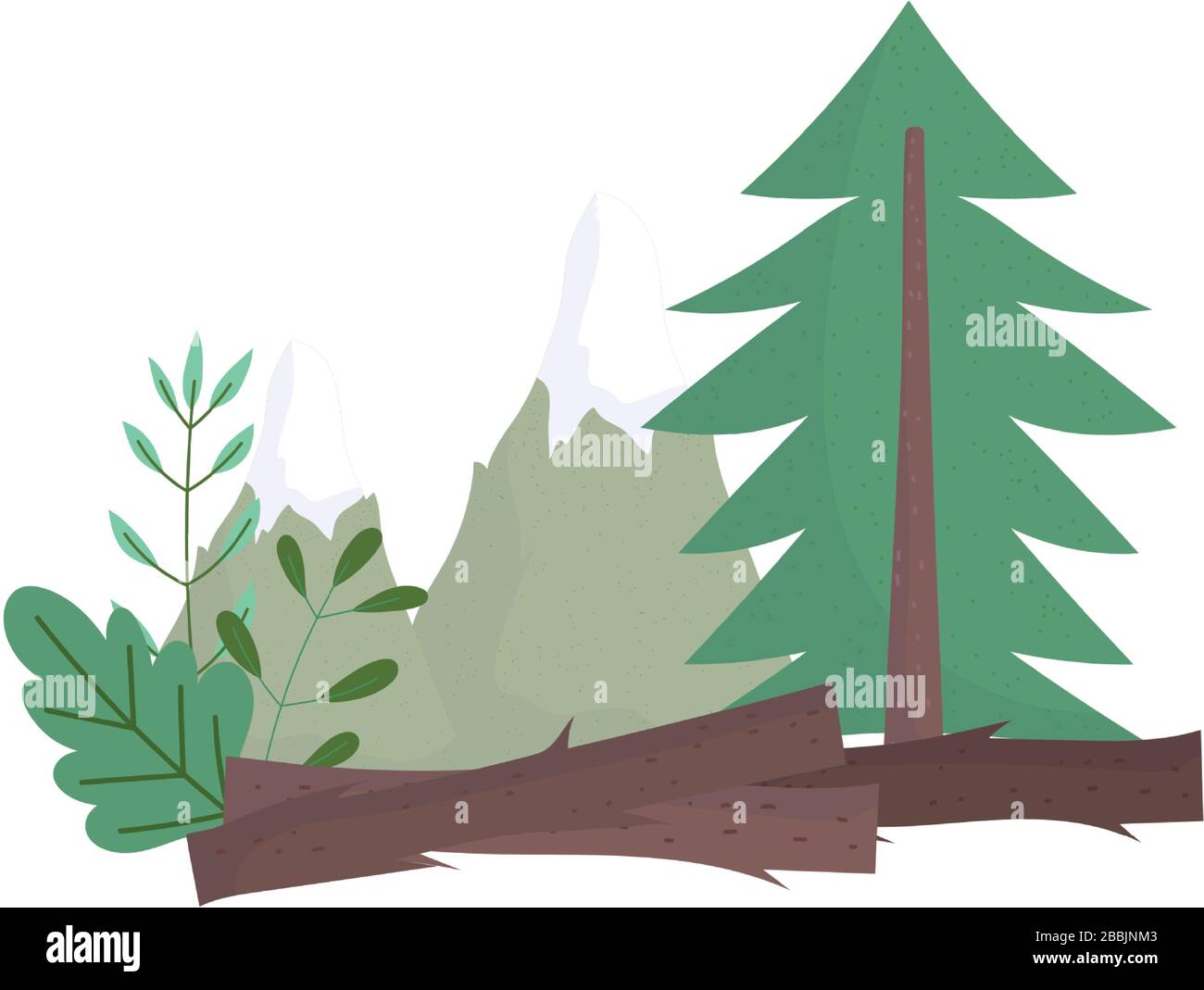forest pine tree bushes foliage vegetation nature isolated icon design ...