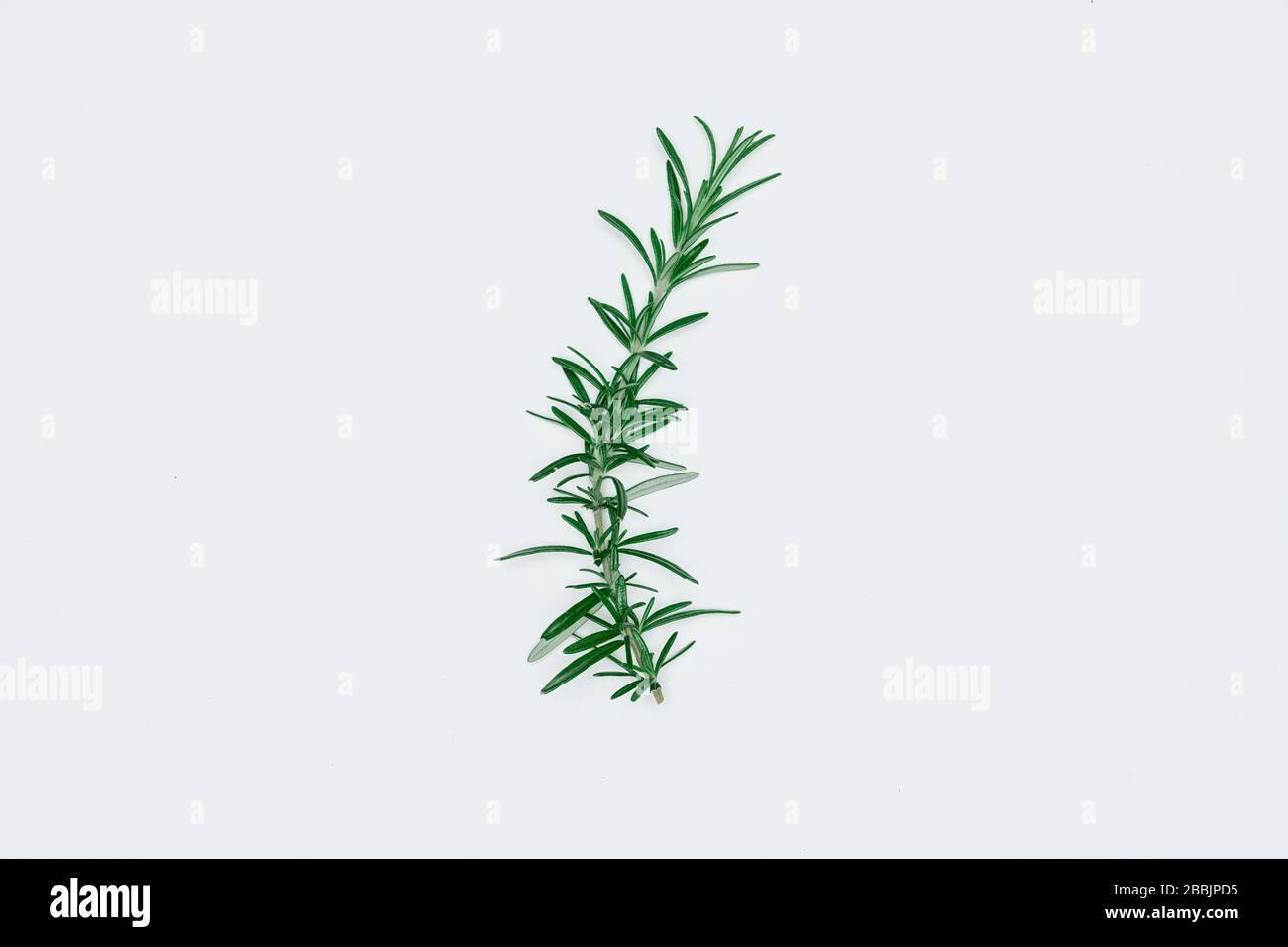 Green leaves on white background. Flat lay, top view, space Stock Photo