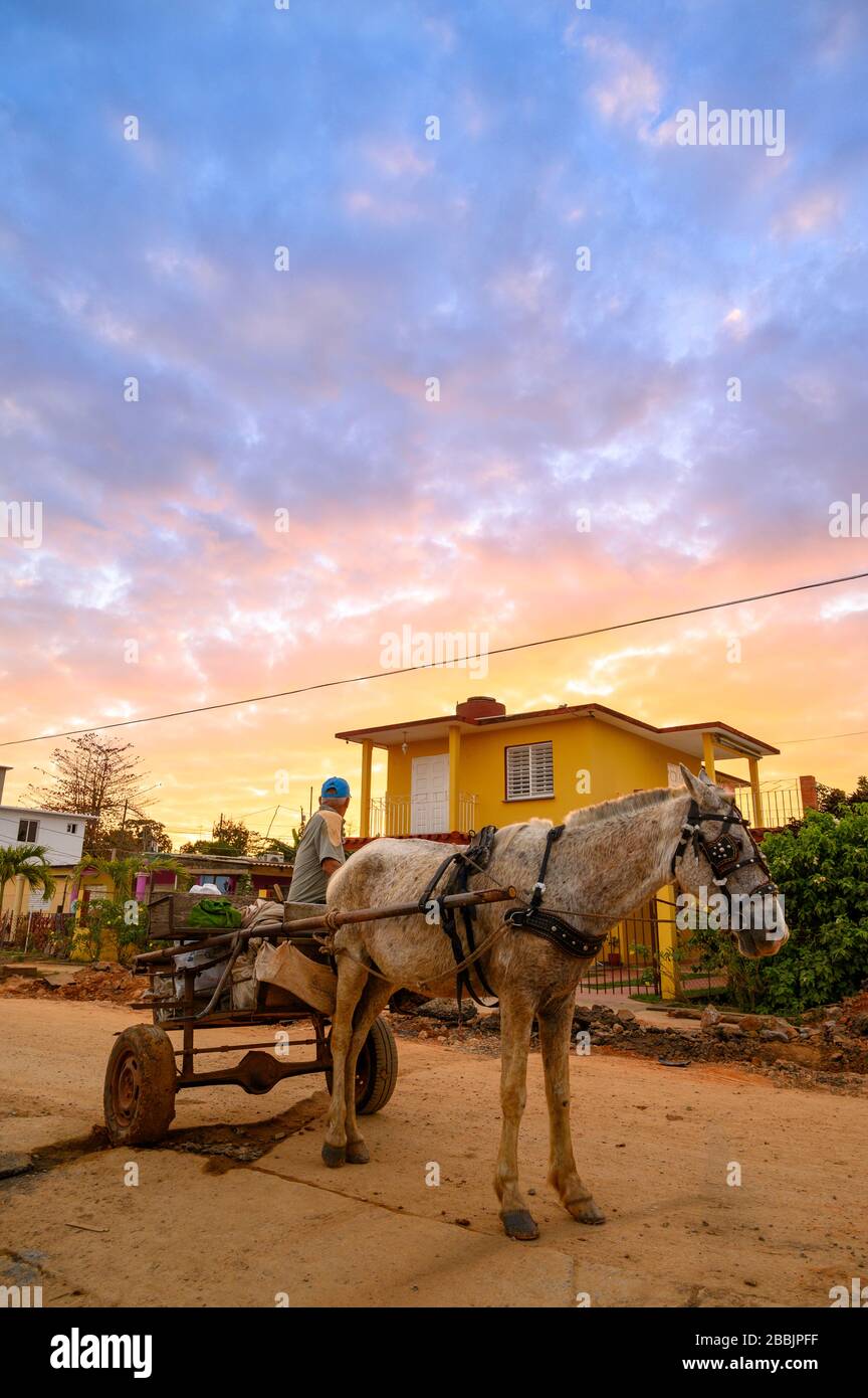 Horse drawn cart at sunrise, Vinales, Pinar del Rio Province, Cuba Stock Photo