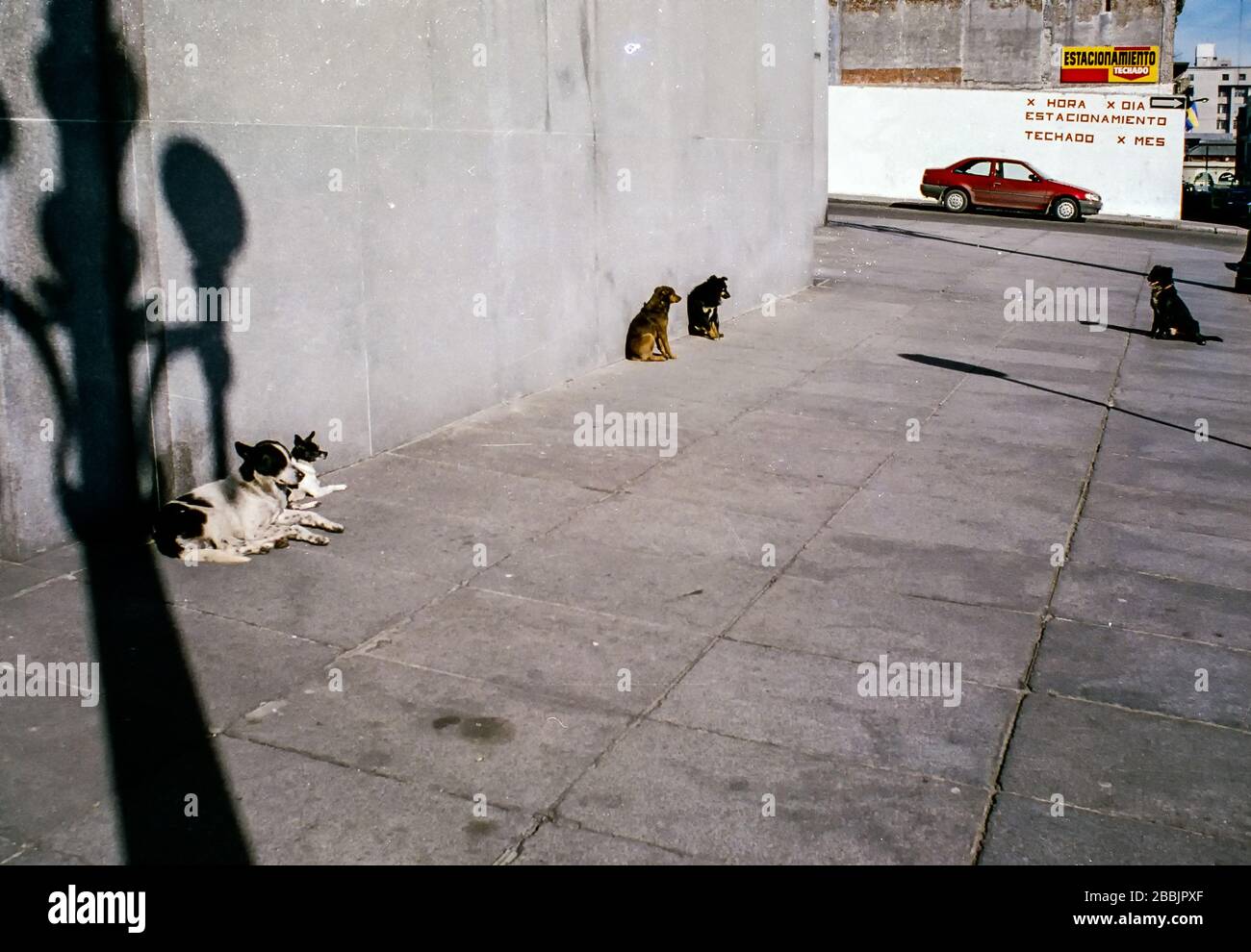 Back against the wall Stock Photo - Alamy