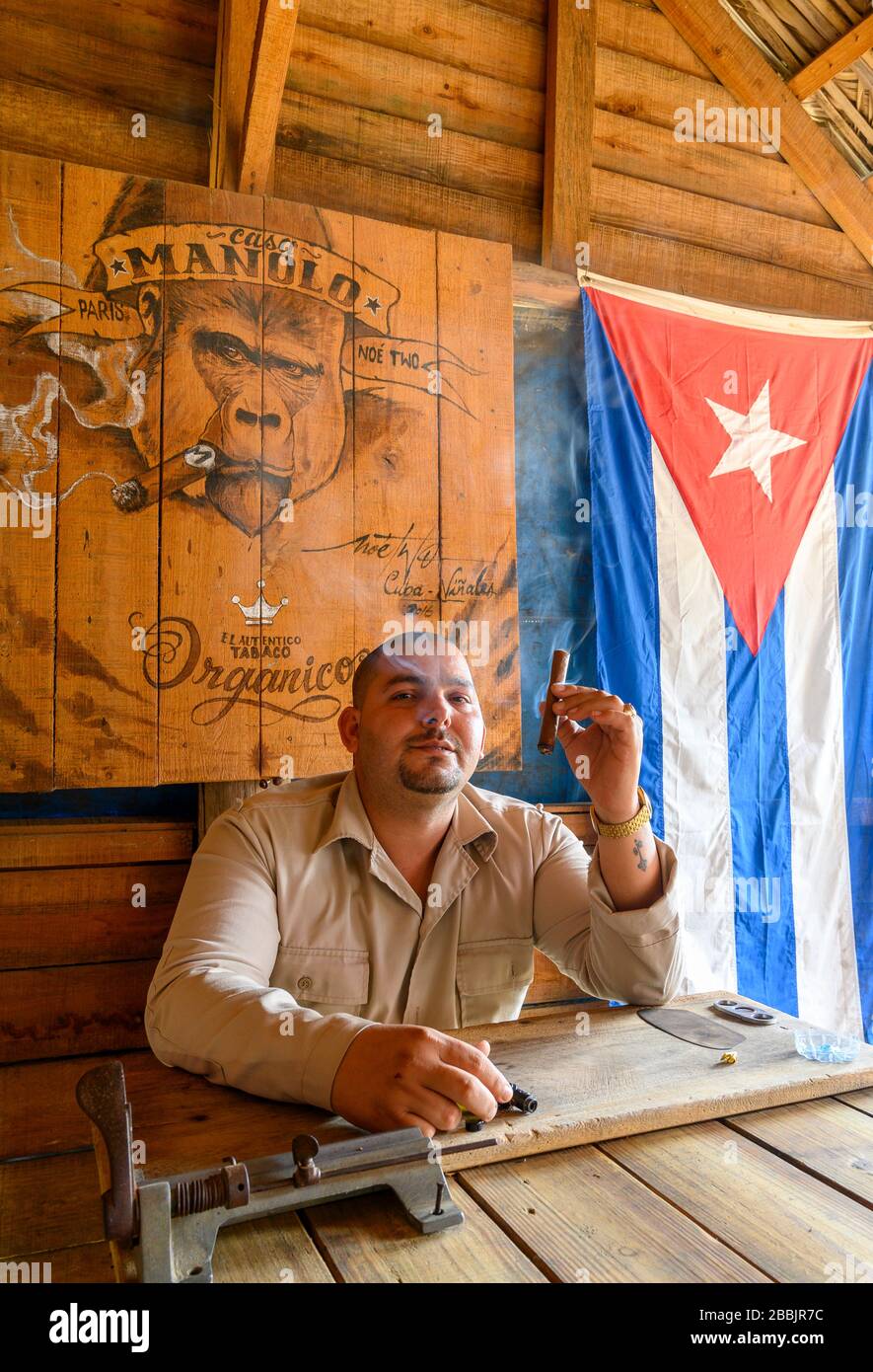 Tobacco farmer smokes cigar at Manolo farm, Vinales, Pinar del Rio Province, Cuba Stock Photo