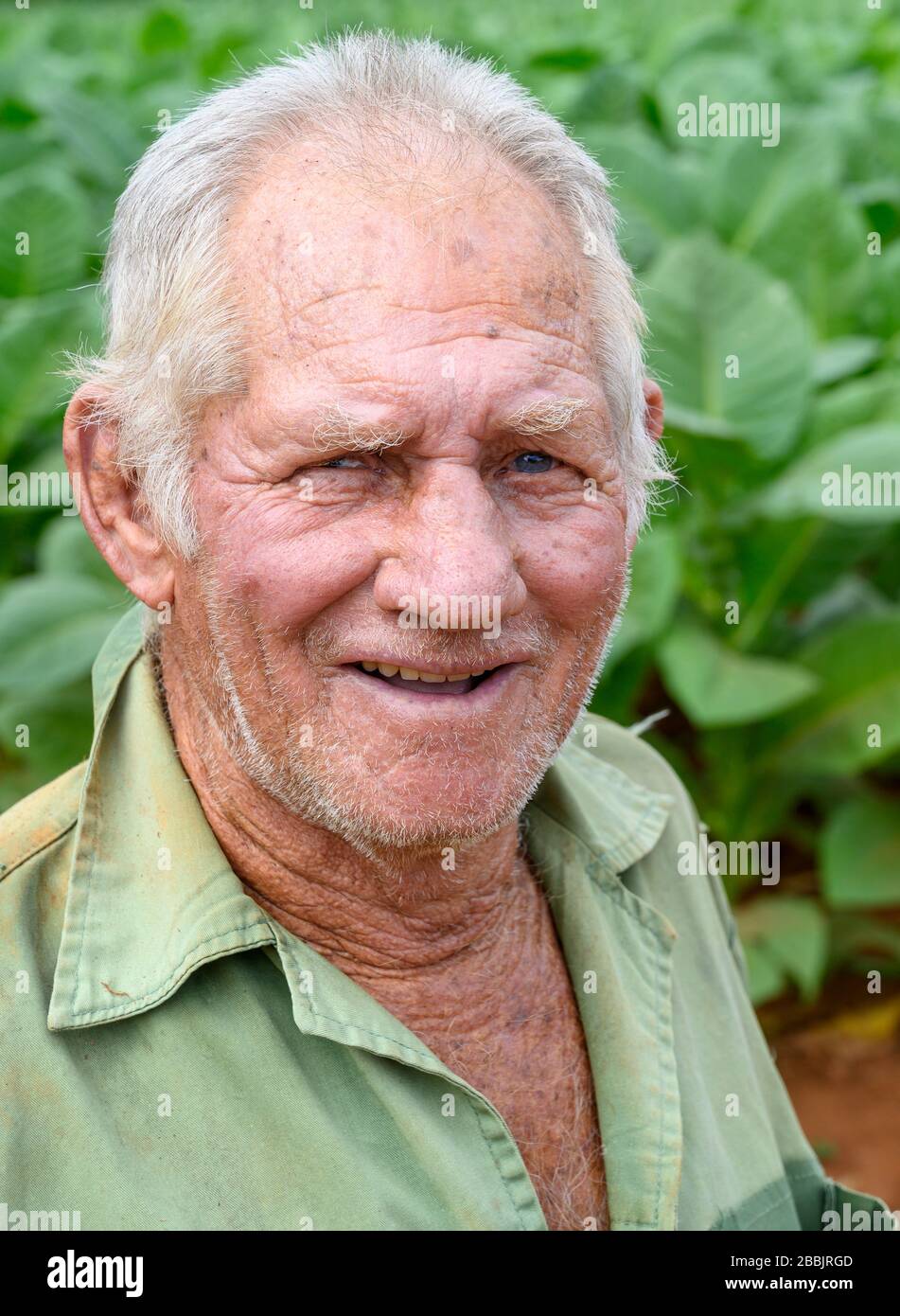 Farmer, Vinales, Pinar del Rio Province, Cuba Stock Photo