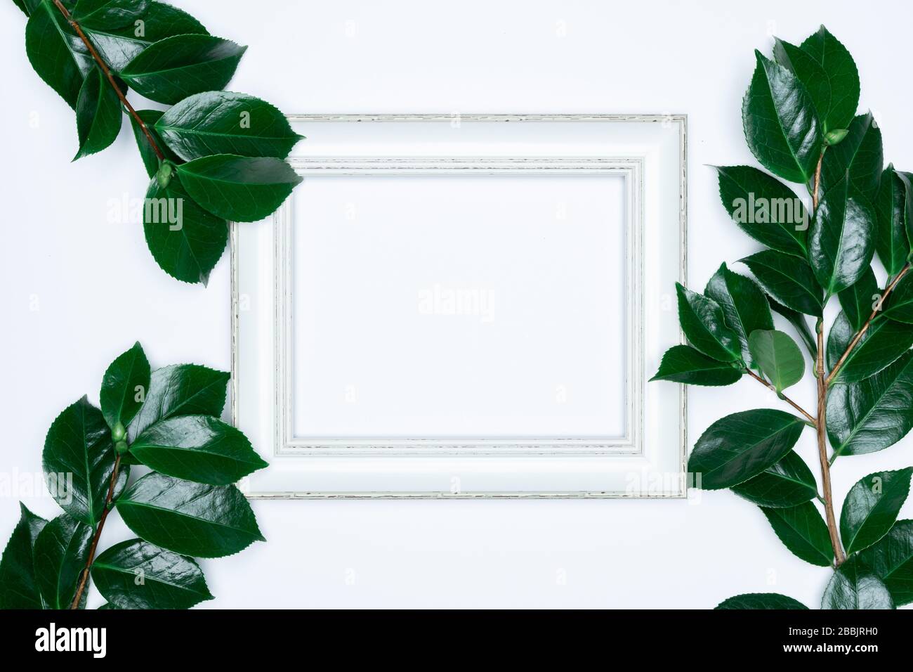 Green leaves with white photo frame on white background. Flat lay, top ...