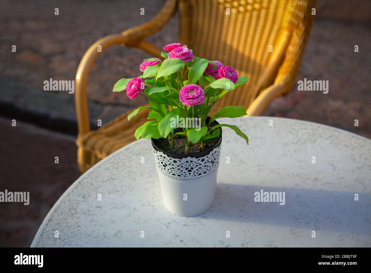 flower vase on the restaurant table Stock Photo