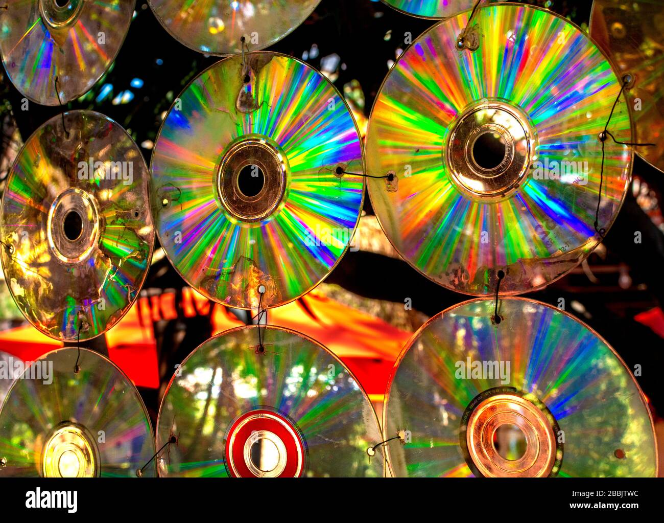 Hanging Mobile of old CDs outside create vivid rainbows in the garden Stock  Photo - Alamy