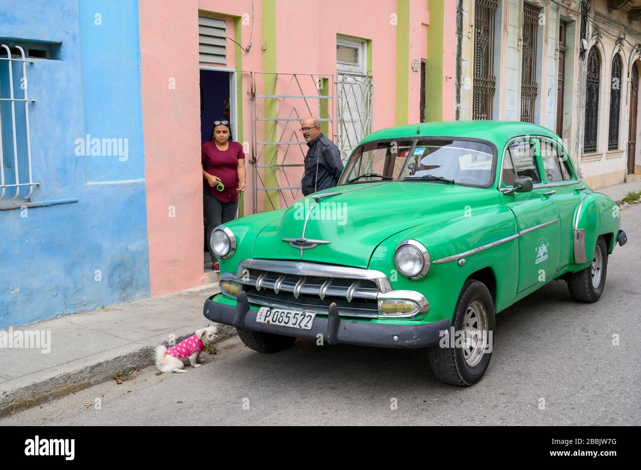 Old Chevrolet and dog, with couple, Havana, Cuba Stock Photo