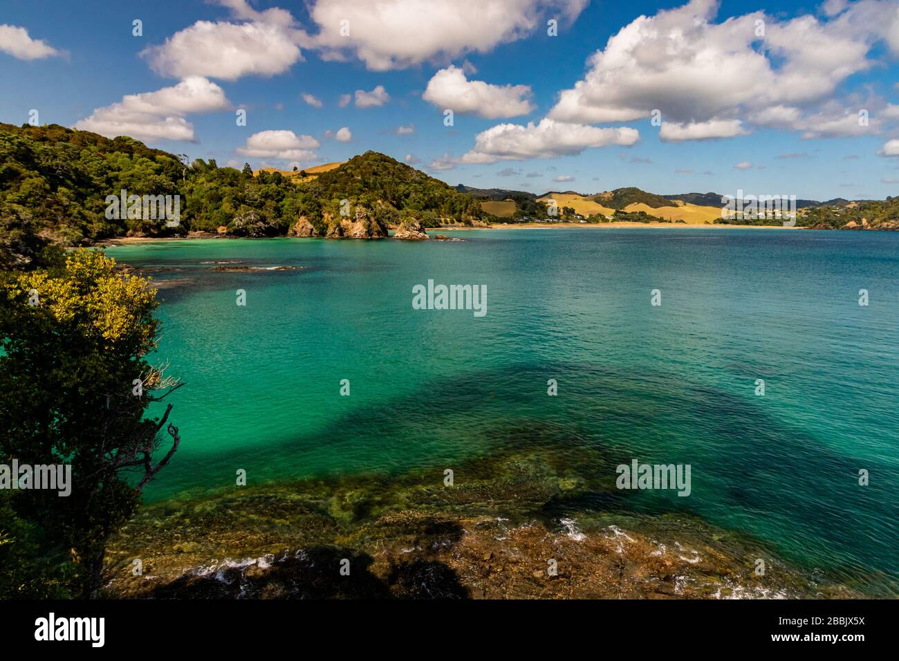 bay of islands in new zealand2 Stock Photo